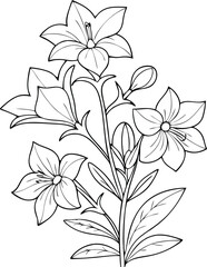 Balloon Flower Coloring Page | Line Art Illustration of Blooming Petals and Leaves | Botanical Floral Design for Coloring