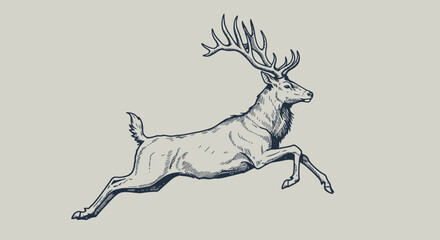 "Hand Drawn Vector Illustrations of Animals, Sea Creatures, Fruits, and Fast Food in Bold Ink Style