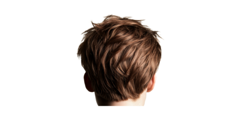 Back View Of Short Brown Hair. Hairstyle And Grooming Concept Isolated On Transparent Background