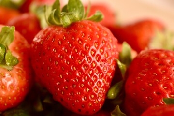 Bowl with organic strawberries – fresh seasonal fruit full of vitamins and natural flavor.