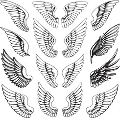 Obraz premium set of wings vector