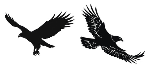 Obraz premium Two silhouette eagles soaring majestically with outstretched wings wide