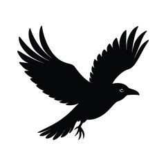 Obraz premium Crow in Flight Silhouette Vector Smooth Lines 6