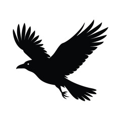 Fototapeta premium Crow in Flight Silhouette Vector Smooth Lines 4