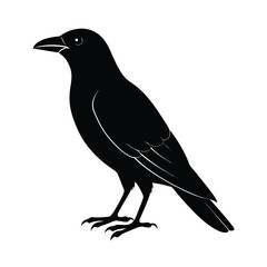 Fototapeta premium Crow Perched Silhouette Vector Clean and Striking 9
