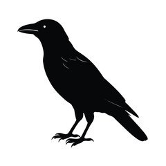Fototapeta premium Crow Perched Silhouette Vector Clean and Striking 3
