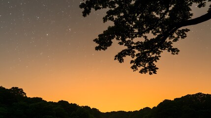 Serene Night Sky Silhouette Orange Twilight Peaceful Starry Landscape Tree Branches