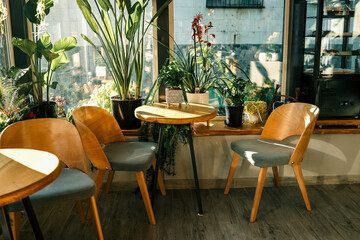 Cozy sunlit cafe corner with wooden chairs, round tables, and lush indoor plants by large windows, creating a warm and inviting atmosphere for relaxation or work