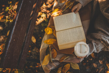 Person in cozy sweater holding reusable cup while reading a book outdoors in autumn park, surrounded by warm tones, fallen leaves, and soft sunlight