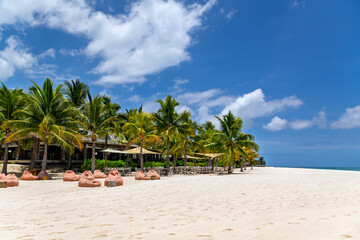 Tropical Beach Restaurant Paradise: Palm Trees, Beanbags, and Tables on White Sand under Blue Sky. Relaxing Beach Bar Scene: Comfortable Beanbag Chairs and Dining Area under Palms near the Ocean.