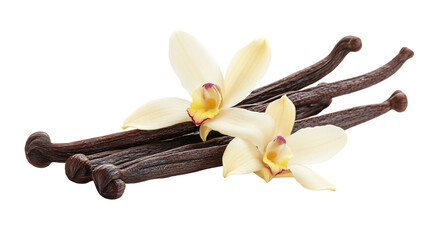 Vanilla Flower Pods and Sticks Isolated on White Background for Culinary, Aromatherapy, and Botanical Concepts