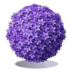 A vibrant purple ball of flowers set against a clean white background.