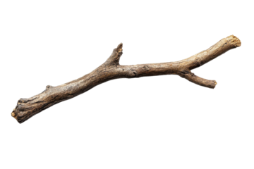 Isolated Dry Brown Tree Branch Nature Twig Wood dark stem wild plant stick rural design rustic on transparent background