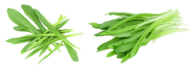 Ramson leaves isolated on white background with  full depth of field, Top view. Flat lay