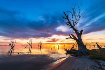 Lake Bonney at dramatic sunset in Barmera, Riverland, South Australia