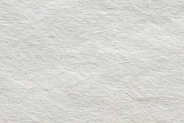 Fototapeta premium white background papper texture and element