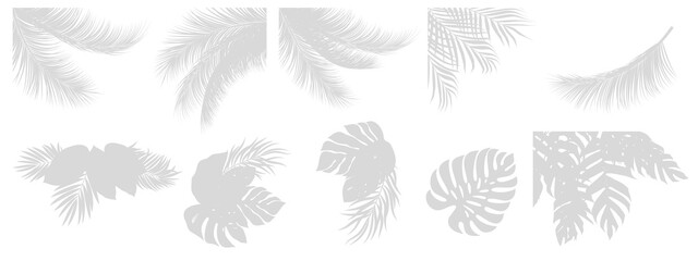 set of Realistic shadow overlay effect. Natural palm leaf shadows isolated on transparent background. Tropical coconut branch shade, foliage silhouette decoration