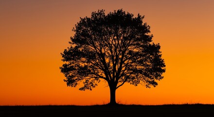 Fototapeta premium Tree silhouette against gradient sunset sky natures tranquil landscape