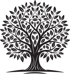 olive tree vector illustration printable png