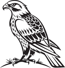 Obraz premium Peregrine Falcon bird silhouette vector illustration