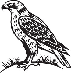 Fototapeta premium Peregrine Falcon bird silhouette vector illustration