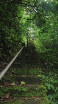 Escaleras en la selva, Bali, Indonesia