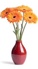 Vibrant orange flowers in a sleek, dark red vase