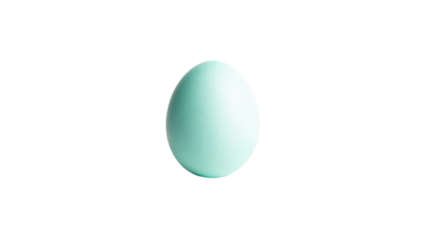 A light blue egg with a smooth surface and oval shape.