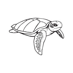 Sea turtle silhouette vector illustration