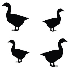 Goose silhouette illustration Design Goose silhouette