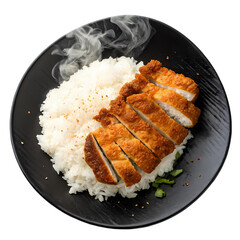 Delicious Katsu Curry Crispy Chicken Cutlet with Rice  Japanese Cuisine Recipe isolated on...