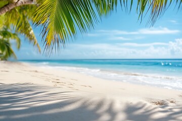 Fototapeta premium tropical beach with palm trees, water and sand 