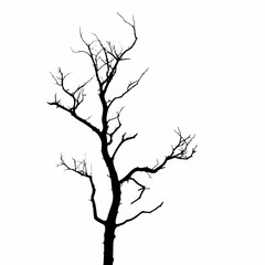 Fototapeta premium Bare Tree Silhouette Illustration