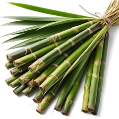 Obraz premium Bundle of Fresh Green Sugarcane Stalks with Leaves