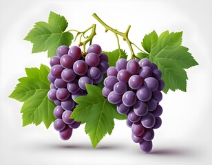 Obraz premium Fresh Bunch of Red Grapes with Green Leaves