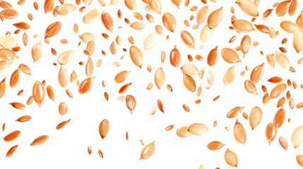 Flax Seeds Macro Isolated White Background Top View