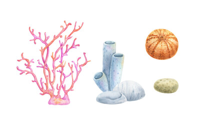 Watercolor illustration of coral reef elements: pink coral, blue tube sponges, yellow sea sponges, and stones. Hand-painted marine set on white background, perfect for ocean-themed design.