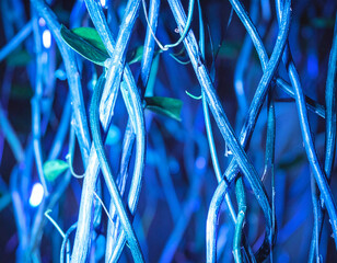 Rope in the Future: Navigating Cyber Tech Innovation