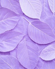 Close-up of numerous pale purple leaves, overlapping to create a textured background  Intricate leaf veins are visible