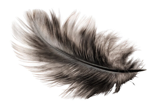 Soft Feathered Shadow Overlay with Fade and Vignetting Effect