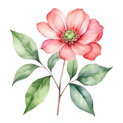 Watercolor Pink Flower with Green Leaves