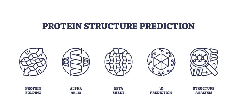Protein structure prediction icons show protein folding, alpha helix, and beta sheet concepts in a clear outline style, transparent background. Outline icons set