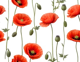 Fototapeta premium Seamless Pattern of Red Poppies on White Background