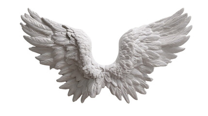 Obraz premium Symmetrical white wings suggest freedom, fantasy, and ethereal beauty on black.