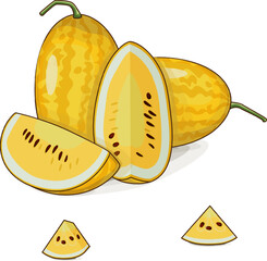 Whole and chopped Gold in Gold Watermelon. Citrullus lanatus. Vegetables. Clipart. Isolated vector illustration.