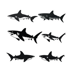 Fototapeta premium Ocean Predator Silhouette Vector Art