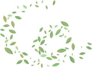 Green Leaf Spiral pin  Background White Vector. Sheet Eucalyptus Card. Life Design. Light Green Air Texture. Plant Flavor