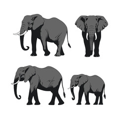 Fototapeta premium Elephant Family Clipart on White