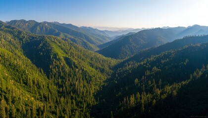 Fototapeta premium Mountain valley, lush forest