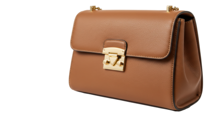 Isolated Brown Leather Shoulder Bag Fashion Accessory